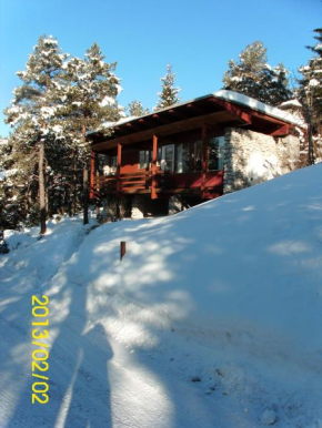 Отель Chalet Vicino a Cortina  Борка Ди Кадоре